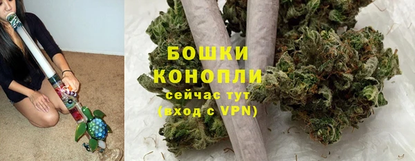 дурь Богданович
