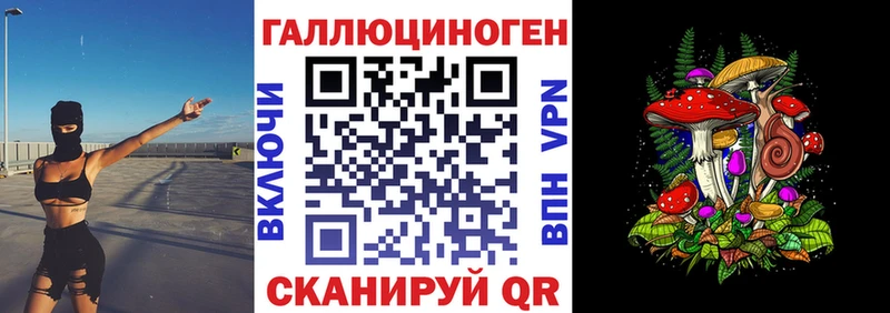 Галлюциногенные грибы Psilocybine cubensis  Юрга 